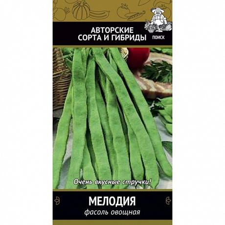 Фасоль овощная Мелодия фото Фасоль овощная Мелодия 